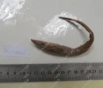 奠?Z?U,??鎿+鮣騞汚的简单介绍